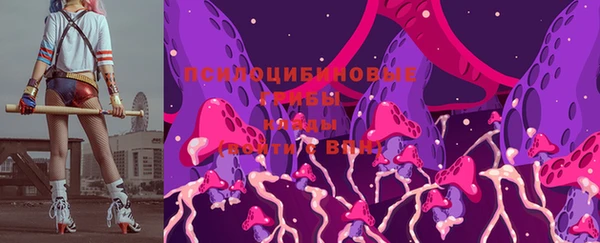 PSILOCYBIN Нефтекумск