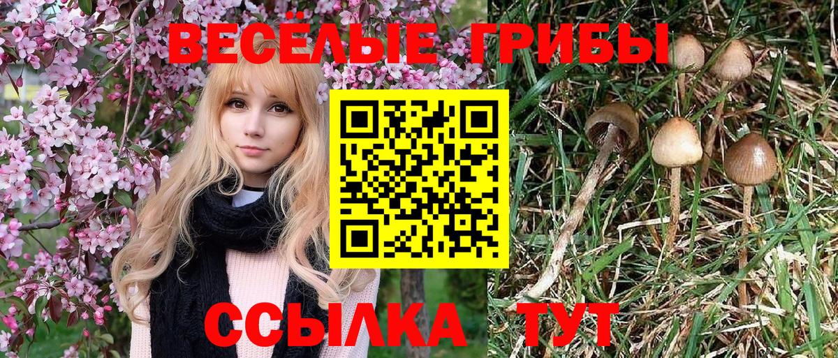 Галлюциногенные грибы ЛСД Камышин