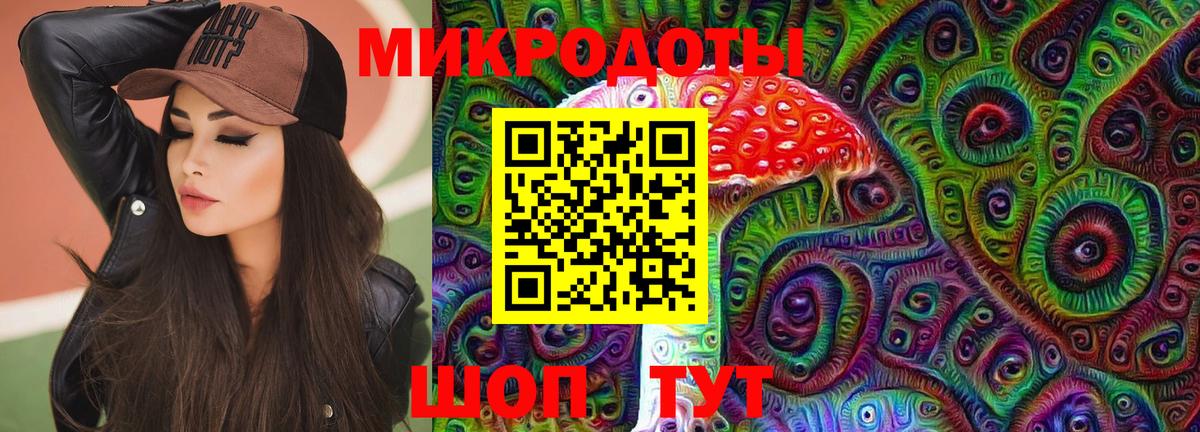 Камышин  Псилоцибиновые грибы ЛСД  Псилоцибиновые грибы ЛСД  купить закладку  Вход с VPN 